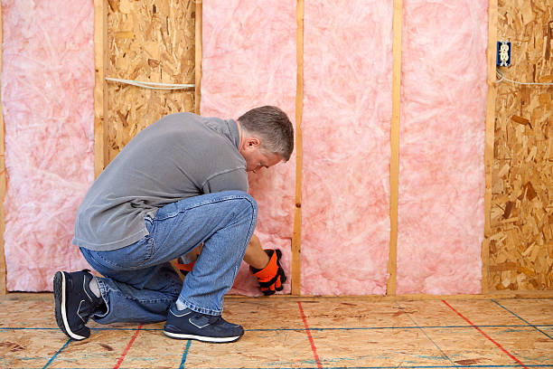 Types of Insulation We Offer in Gainesville, VA
