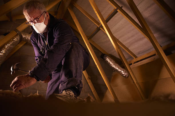 Best Spray Foam Insulation in Gainesville, VA